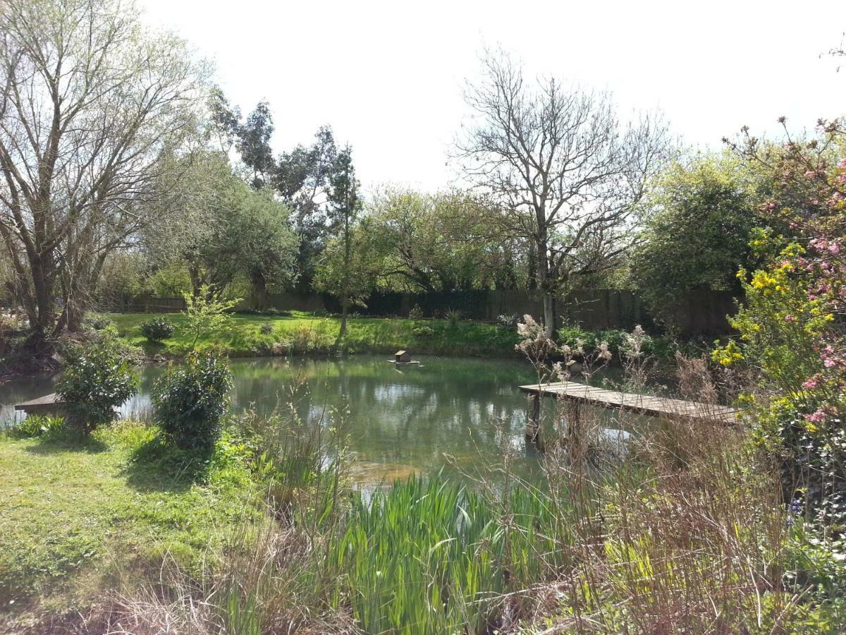 Bed and Breakfast Upper Wood End Farm Marston Moreteyne Exteriér fotografie