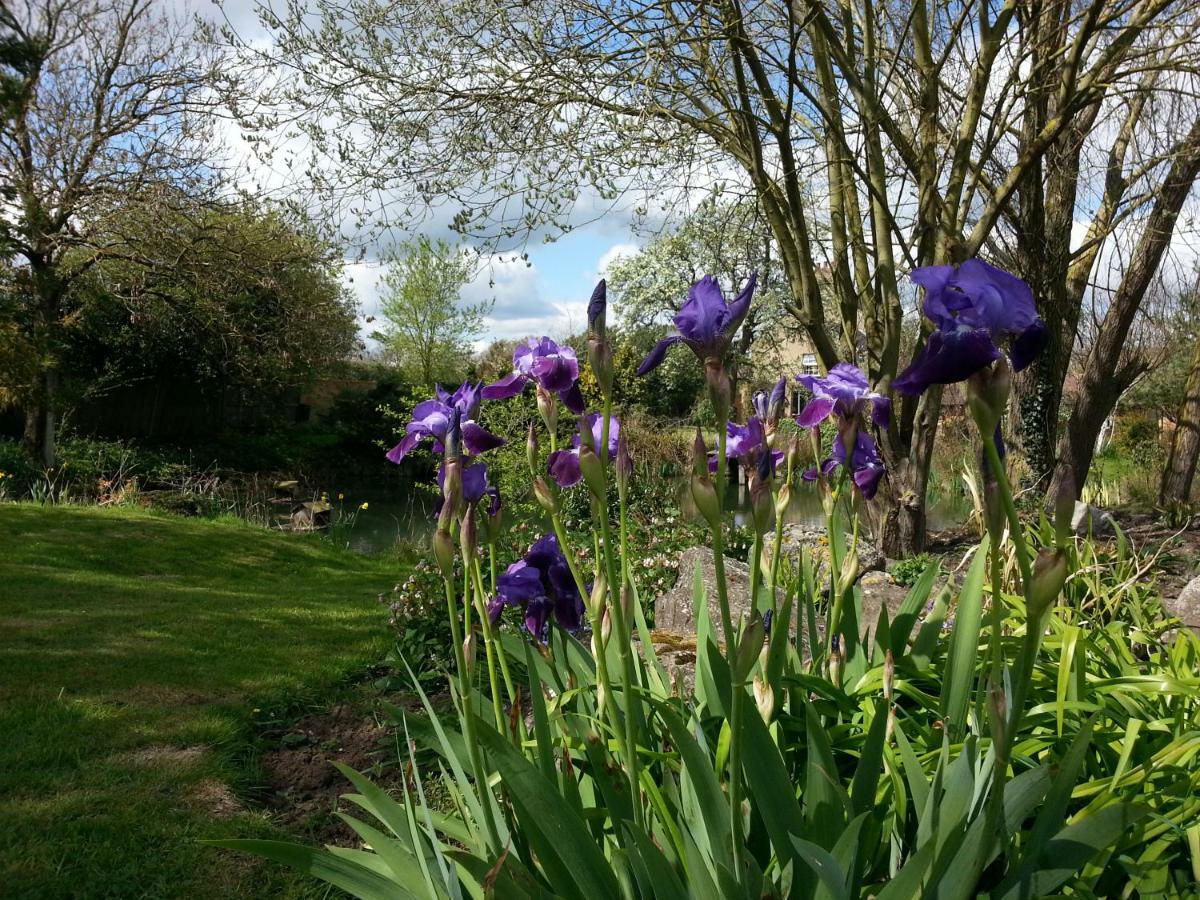 Bed and Breakfast Upper Wood End Farm Marston Moreteyne Exteriér fotografie