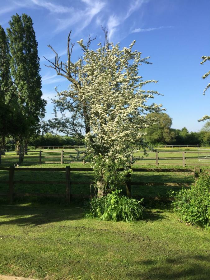 Bed and Breakfast Upper Wood End Farm Marston Moreteyne Exteriér fotografie